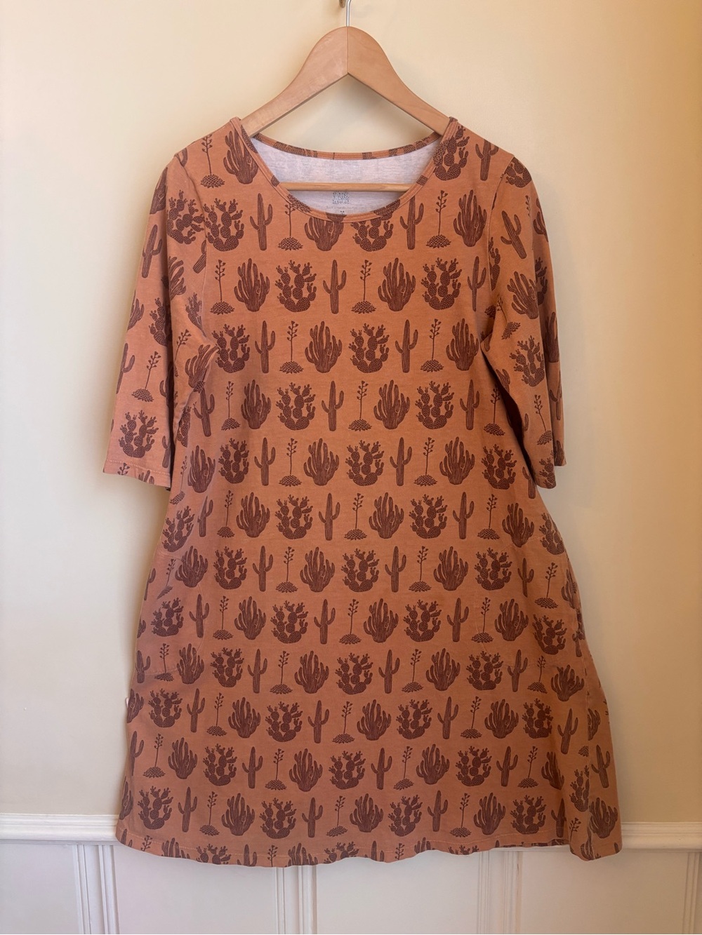 Women's Winter Water Factory Desert Print A-Line Dress in Rust Size M Organic